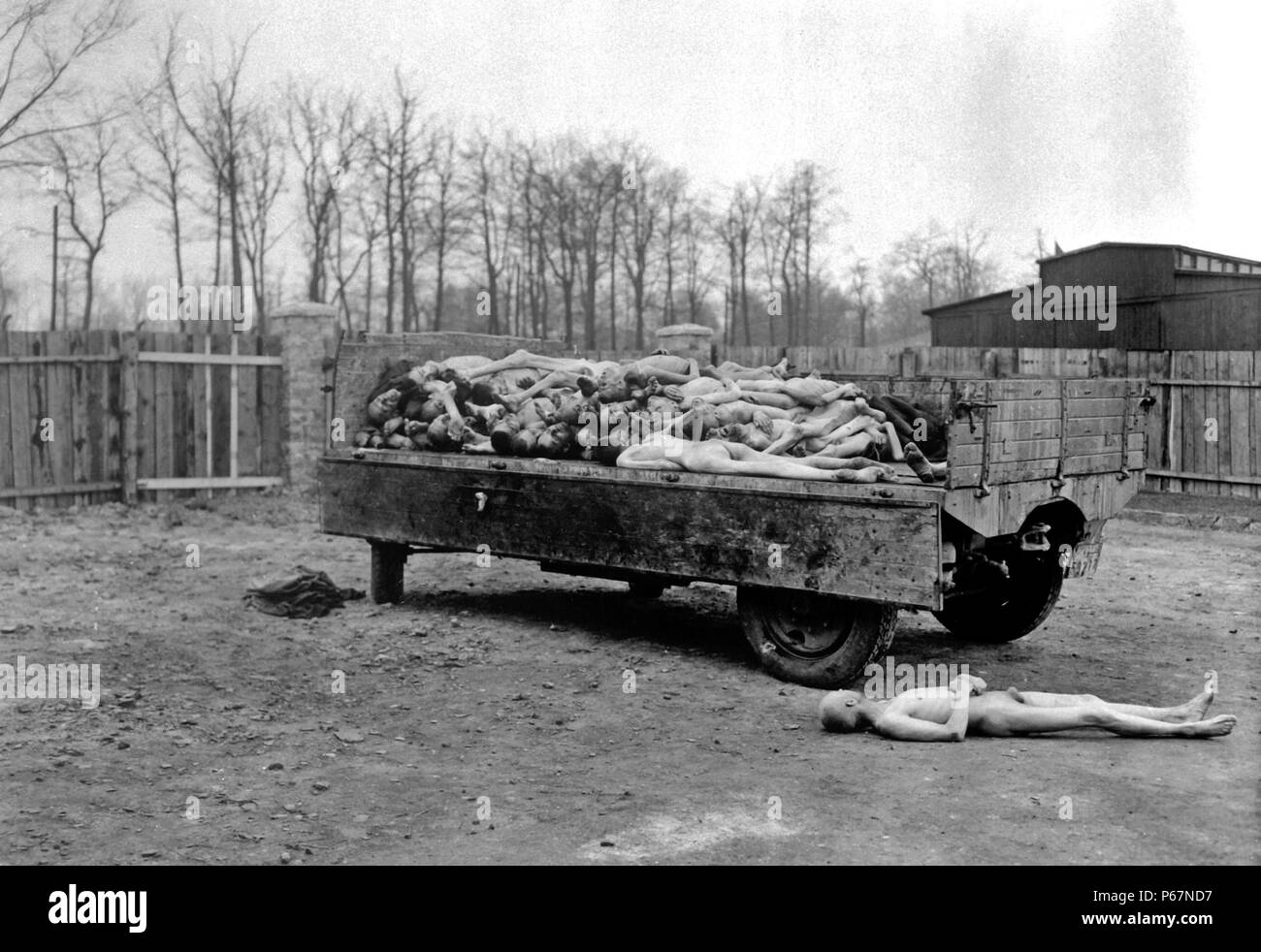 Konzentrationslager Buchenwald - Das Bild zeigt die Leichen der gefangen gehalten als Kriegsgefangene. Sobald das Lager befreit wurden, Verbündete transportiert die Körper entfernt, sie eingeäschert. Kurz nach dem Ende des Zweiten Weltkriegs 1945 datiert. Stockfoto