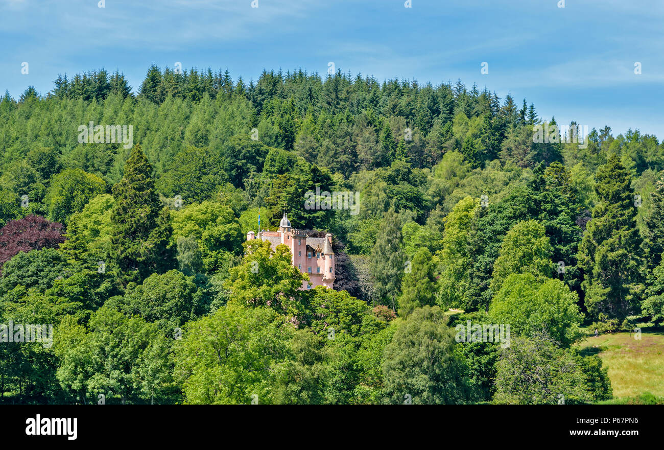 CRAIGIEVAR CASTLE ABERDEENSHIRE SCHOTTLAND rosa Turm, der VON BÄUMEN UMGEBEN IM SOMMER Stockfoto