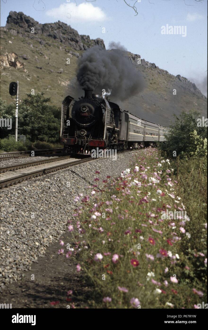 Pacific Power als China Railway SL6 4-6-2 Rennen nach Süden Vergangenheit Sattel Montain Anshan mit Shenyang - Dalian Personenzug. Die Anpflanzung von Flo Stockfoto