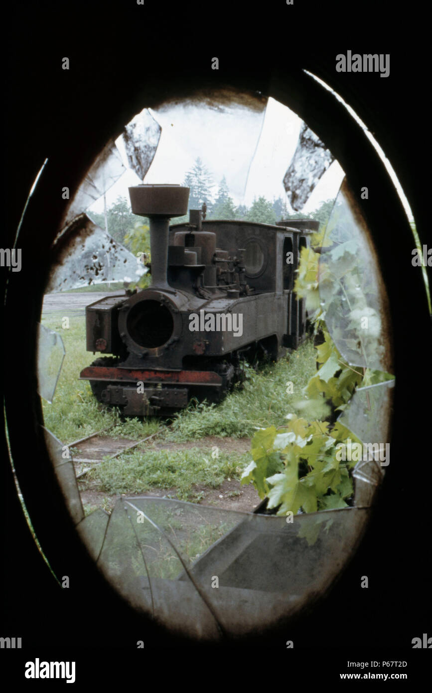 Bild in der Feldbahn Lokomotive Friedhof von Czarna Bialostocka im Nordosten Polens nahe der russischen Grenze. Der Motor ist Klasse Tx 232 Hennen Stockfoto