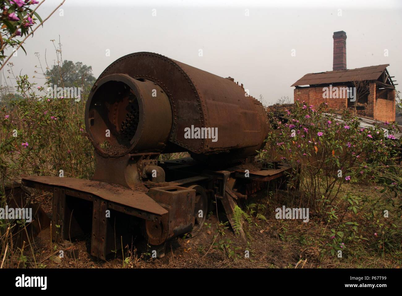 Überreste einer 2 '0 Ó Manometer Bagnall 0-4-0 ST an der verlassenen Ledo Ziegelei im März 2007. Stockfoto