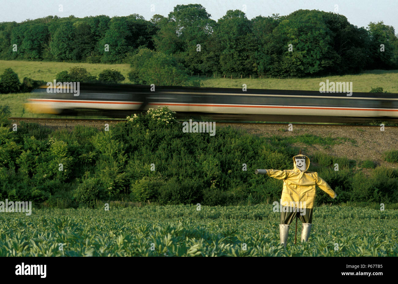 Ländliche Leicestershire und ein Intercity-zug Geschwindigkeiten Vergangenheit ein wachsames Vogelscheuche in einer Unschärfe der Geschwindigkeit. c 1993 Stockfoto