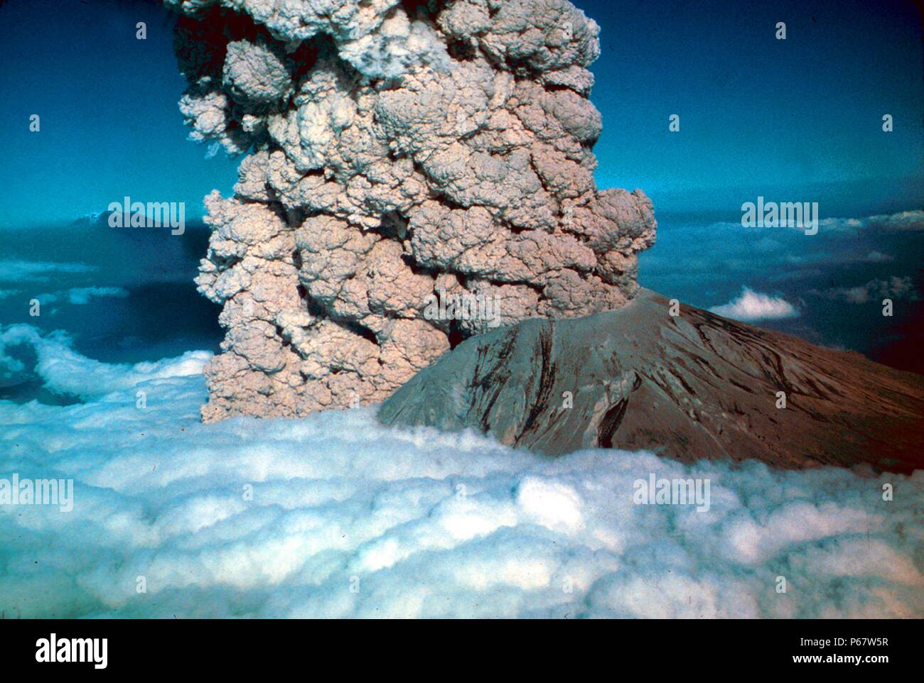 In 1980, ein großer Vulkanausbruch aufgetreten ist am Mount St. Helens, einen Vulkan im Zustand von Washington, in den Vereinigten Staaten. Stockfoto