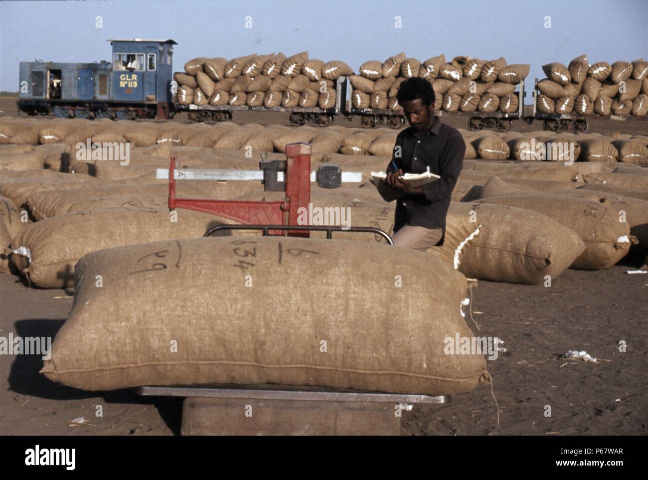 Der gezira Light Railway auf Wad El Shafie im Sudan mit einem Hunslet 600 mm Spurweite 0-8-0 Diesel. Ein Bild gemacht auf dieses große Baumwolle mit Komp Stockfoto