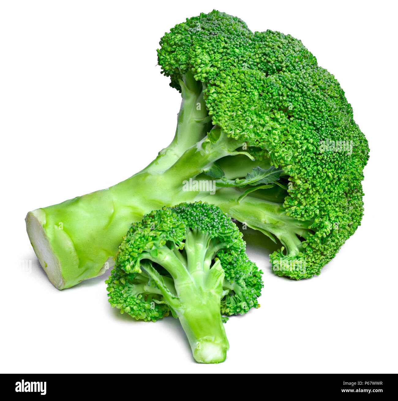 Frisches Grün Brokkoli, auf weißem Hintergrund. Reif, Gemüse, gesunde Ernährung. Brokkoli, kochen Zutat mit Vitaminen und wenig Kalorien. Stockfoto