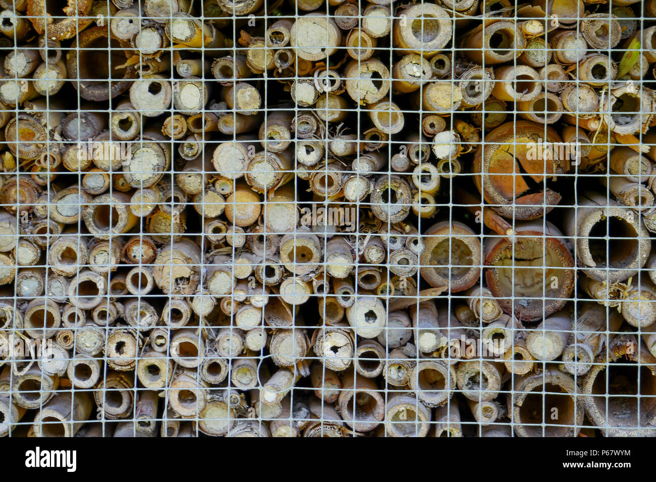 Schutz für Insekten, Parc de la Tête d'Or, Lyon, Lyon Stockfoto