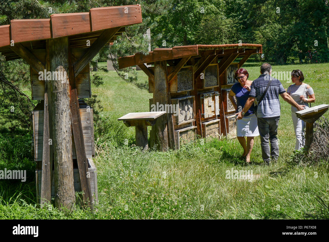 Schutz für Insekten, Parc de la Tête d'Or, Lyon, Lyon Stockfoto
