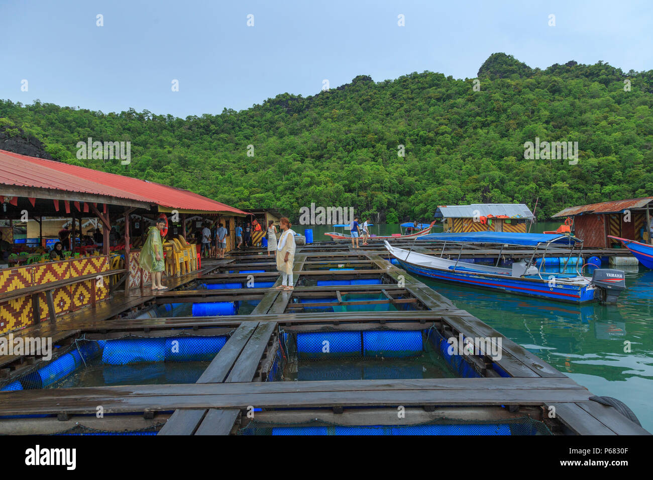 Schwimmende Fischfarm - Langkawi (Malaysia) Stockfoto
