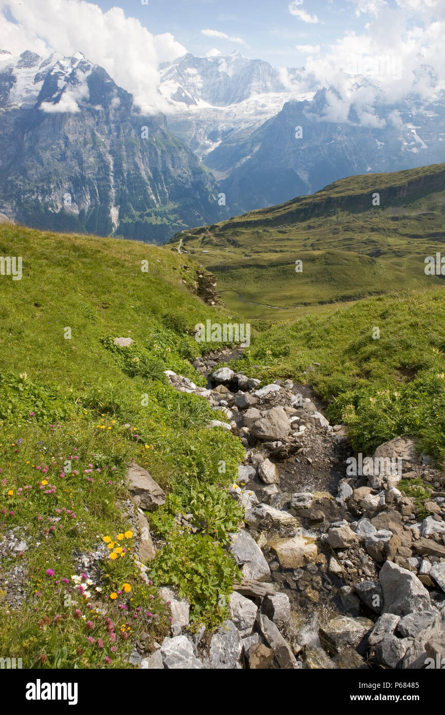 Die Kluft der oberen Lüschental aus der Nähe von zuerst gesehen, mit großen Berge, Berner Oberland, Schweiz Stockfoto