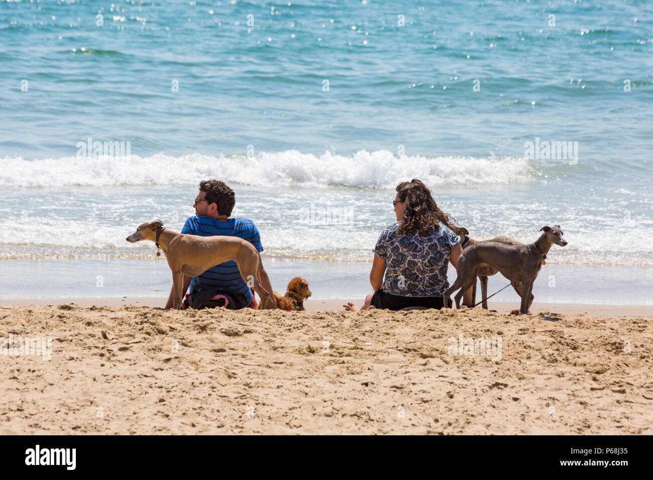 Bournemouth, Dorset, Großbritannien. 29 Juni, 2018. UK Wetter: sunseekers Kopf bis zu den Stränden von Bournemouth auf einen weiteren sonnigen Tag mit Ungebrochenen blauer Himmel und Sonnenschein. Eine leichte Brise die Hitze erträglicher macht. Paar am Meer mit Hunden. Credit: Carolyn Jenkins/Alamy leben Nachrichten Stockfoto