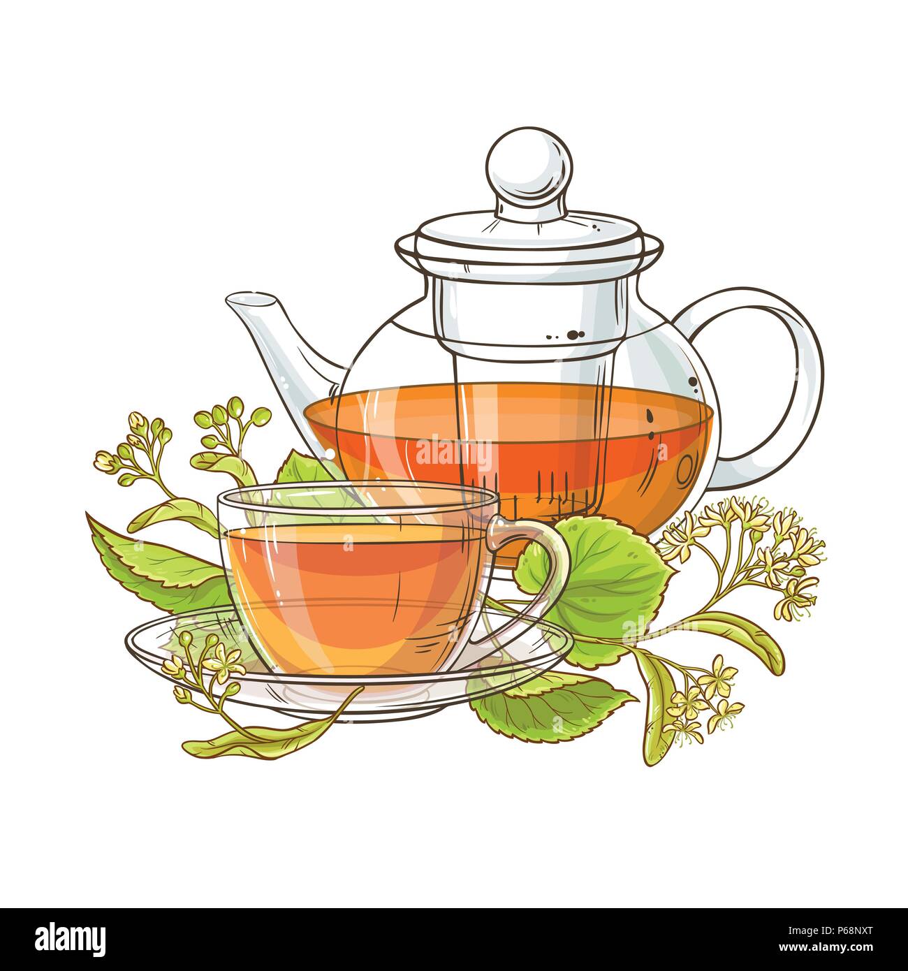 Linden Tee Teekanne Vector Illustration auf weißem Hintergrund Stock Vektor