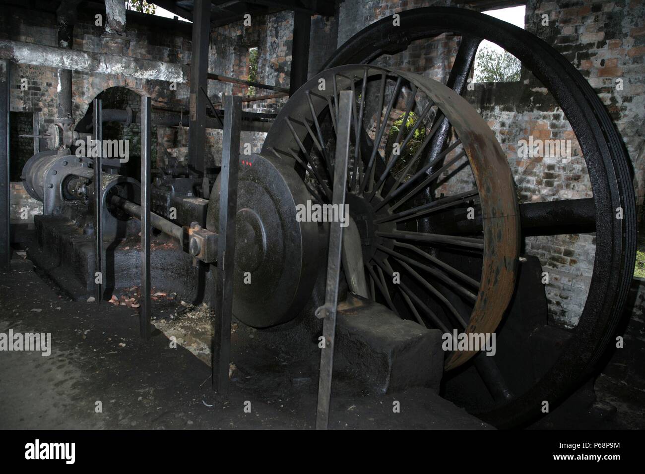 Die stationäre Dampfmaschine an Ledo Ziegelei Assam nach der Schließung. Dieser Motor fuhr machineary von wooton Bros von Coalville und wurde von s angetrieben Stockfoto