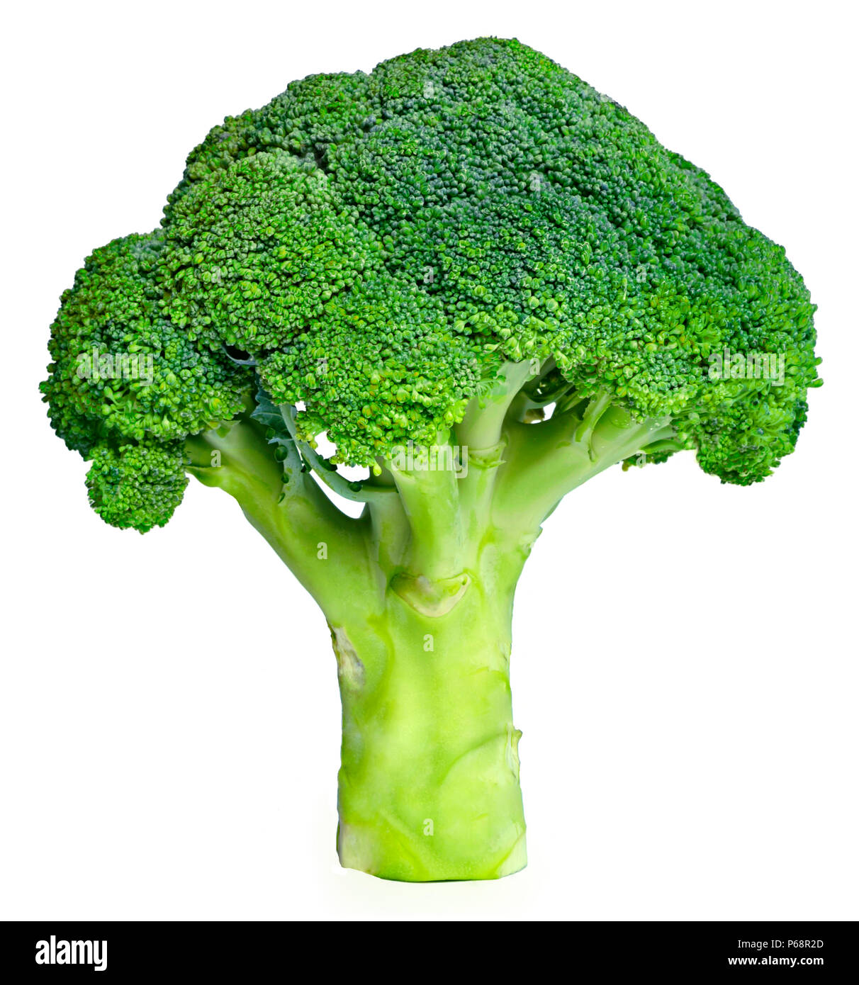 Frisches Grün Brokkoli, auf weißem Hintergrund. Reif, Gemüse, gesunde Ernährung. Brokkoli, kochen Zutat mit Vitaminen und wenig Kalorien. Stockfoto