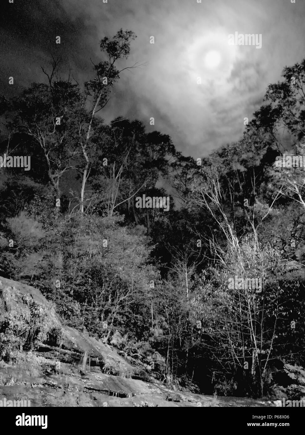Katoomba Kaskade bei Vollmond, Blue Mountains, New South Wales, Australien. Gespenstische Vision der Mond eingehüllt in dünne Wolken über einem Wald Szene. Schwarz und Weiss. Stockfoto