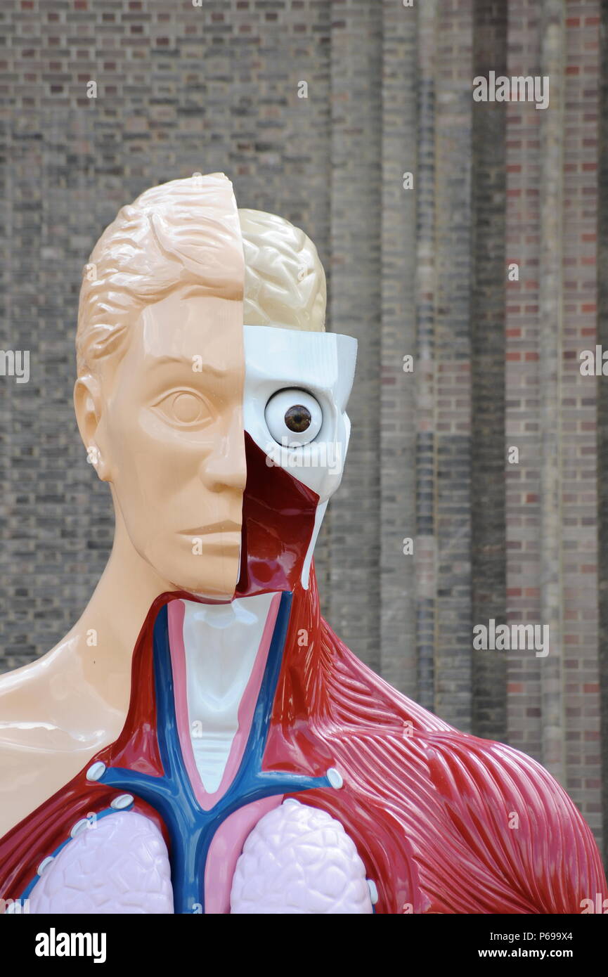 Damien Hirst, Anatomie eines Engels, in der Tate Modern Stockfoto