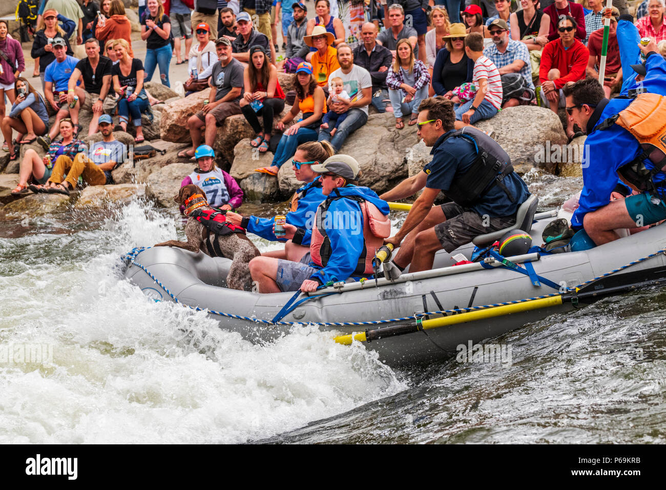 Sparren am Arkansas River, vorbei an Fibark River Festival; Salida, Colorado, USA Stockfoto