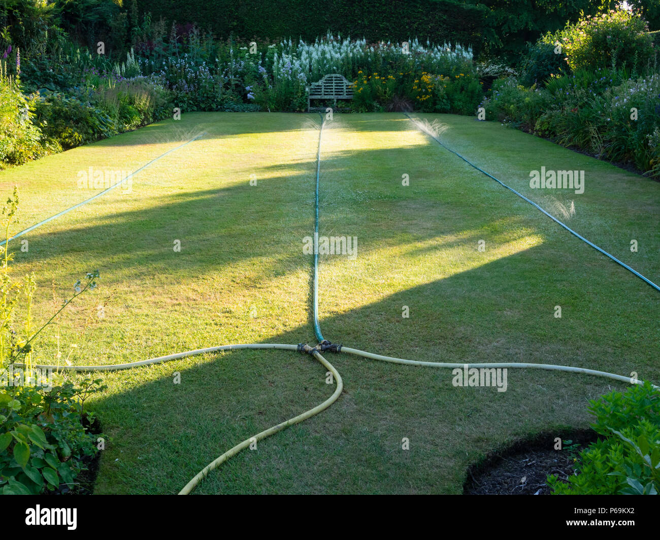 Nebel Bewässerung von perforierten Schlauch durch die Abendsonne im Garten Haus beleuchtet Stockfoto