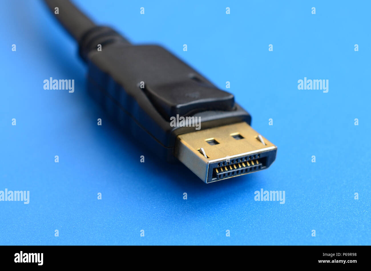 20-pin Stecker DisplayPort Steckverbinder, vergoldet für eine einwandfreie Verbindung auf einem blauen Hintergrund. Stockfoto