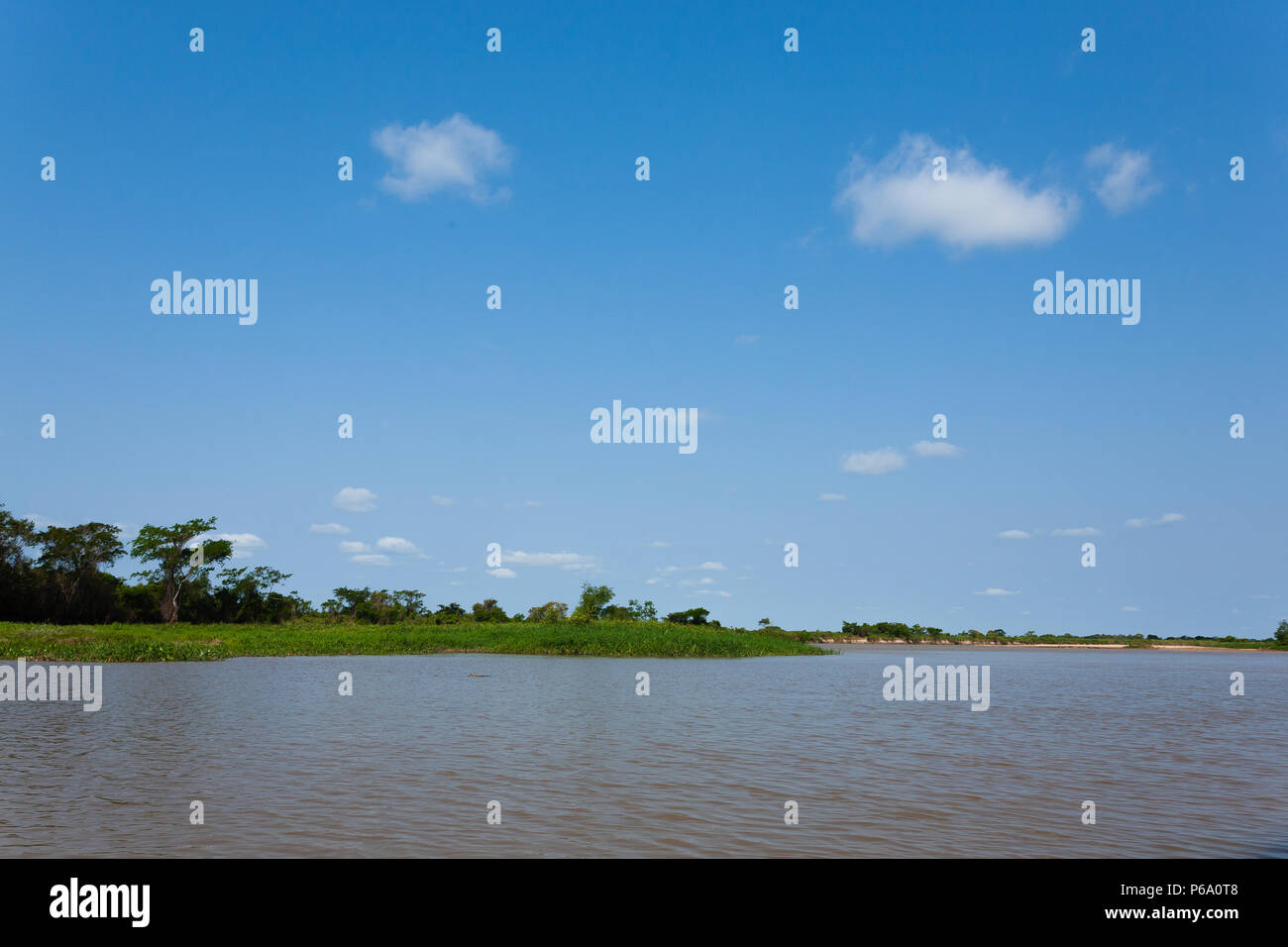 Panorama vom Pantanal, brasilianische Feuchtgebiet Region. Schiffbaren Lagune. Südamerika-Wahrzeichen Stockfoto