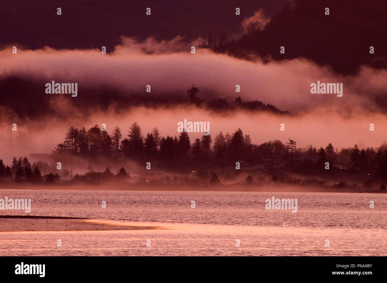 Tillamook Bay Wald mit Nebel, Bayocean Halbinsel, Oregon Stockfoto