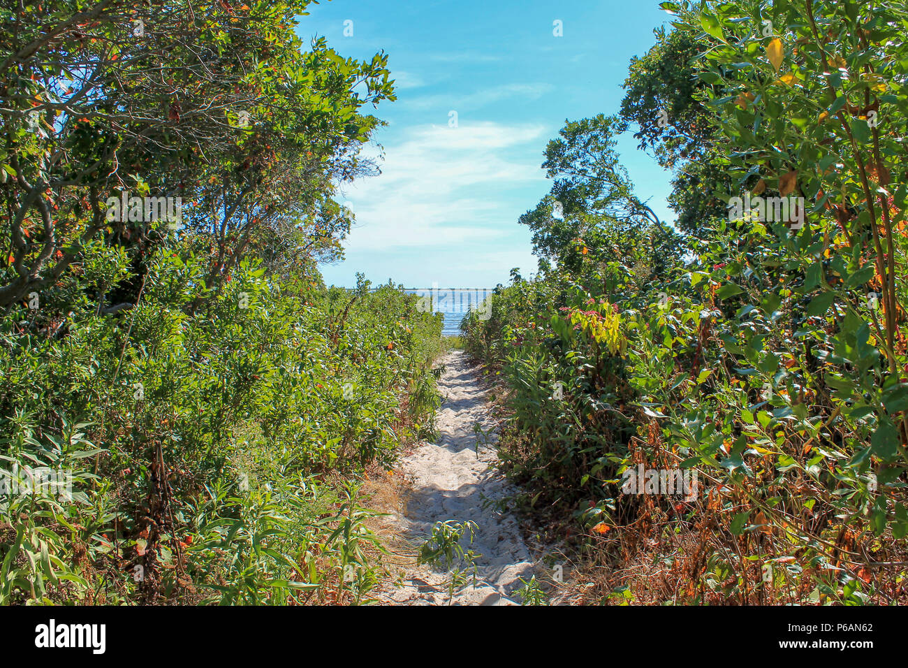 Ein sandiger Pfad am Ende der sieben Brücken Rd (Great Bay Blvd), die zu einem kleinen Strand führt. Stockfoto