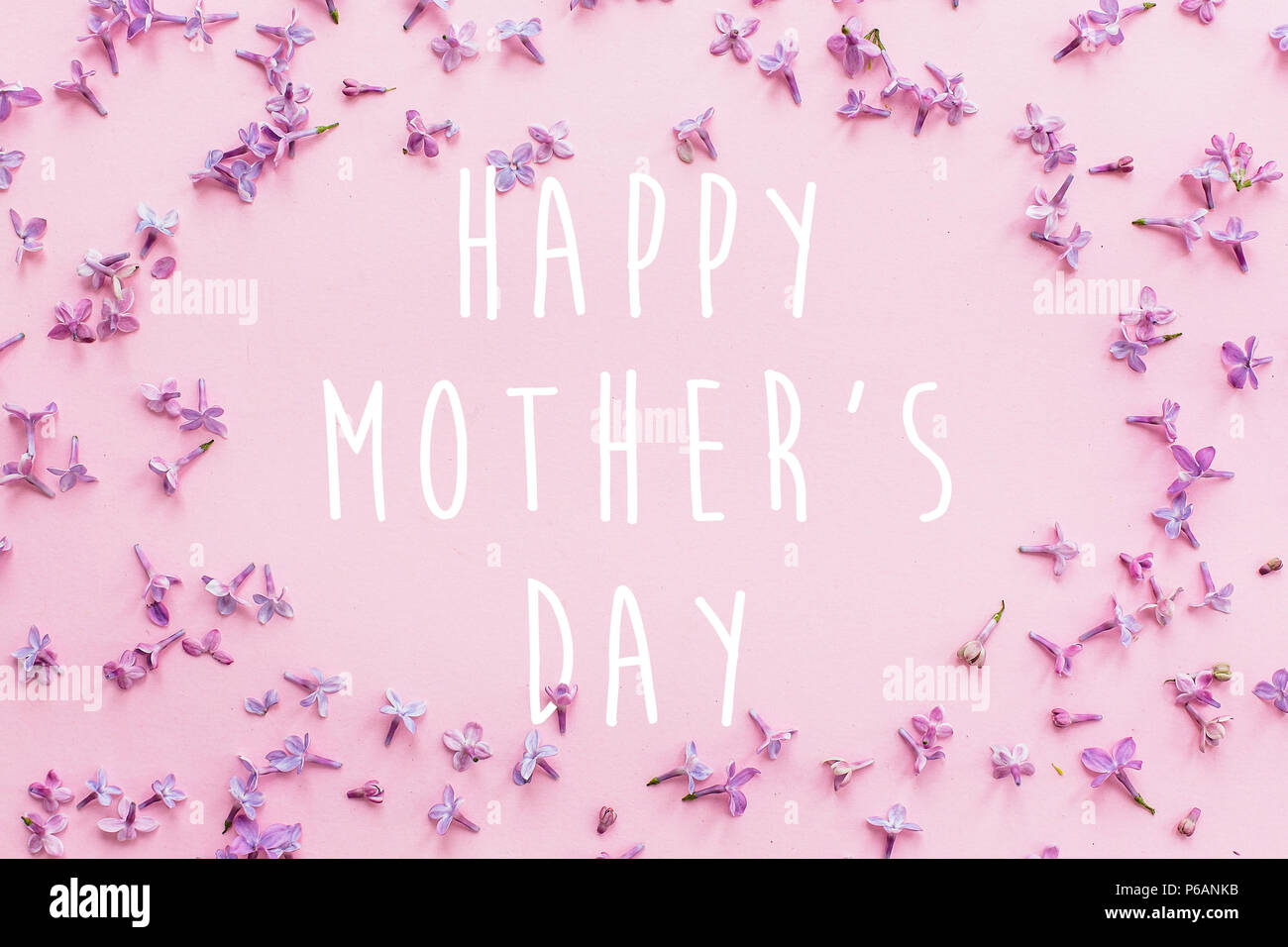 Happy Mother S Day Text Grusskarte Schonen Lila Lila Bluten Blumen Auf Rosa Hintergrund Flach Moderne Bild Elegante Blumige Grusse Mo Stockfotografie Alamy