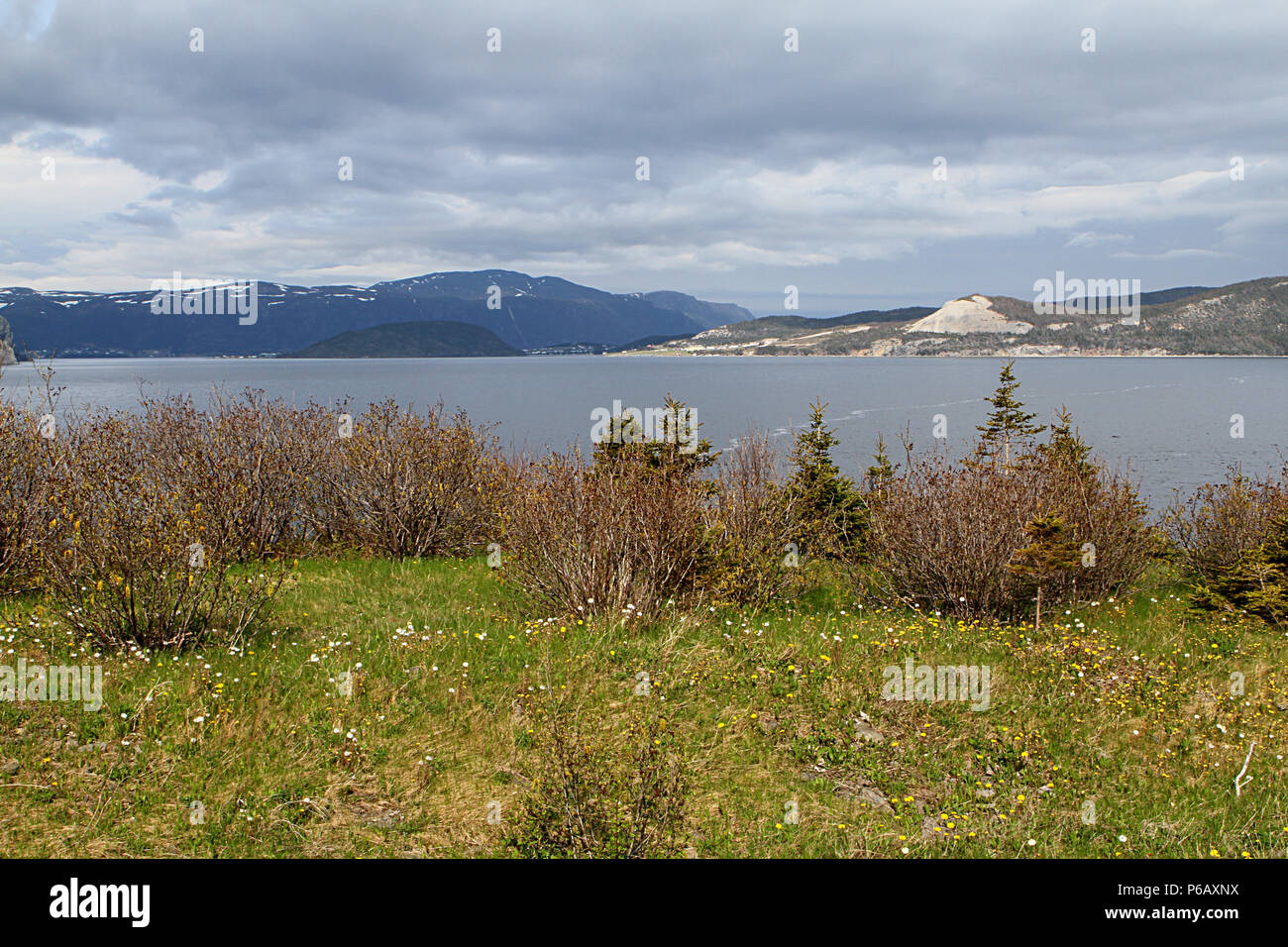 Reisen Labrador, Kanada. Landschaft scenics entlang Labrador Coastal Drive 510 N, Trans Labrador Highway, Neufundland, Labrador, Kanada Stockfoto