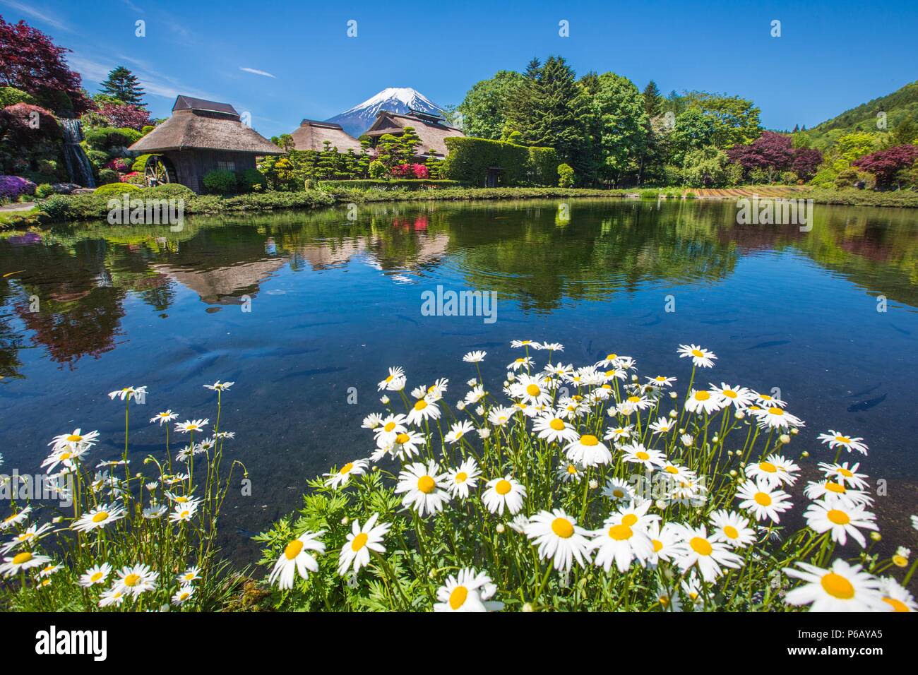 Yamanashi Provinz, Oshino Mura, Minami Tsuru Bezirk, Shibosuka, Garten Stockfoto