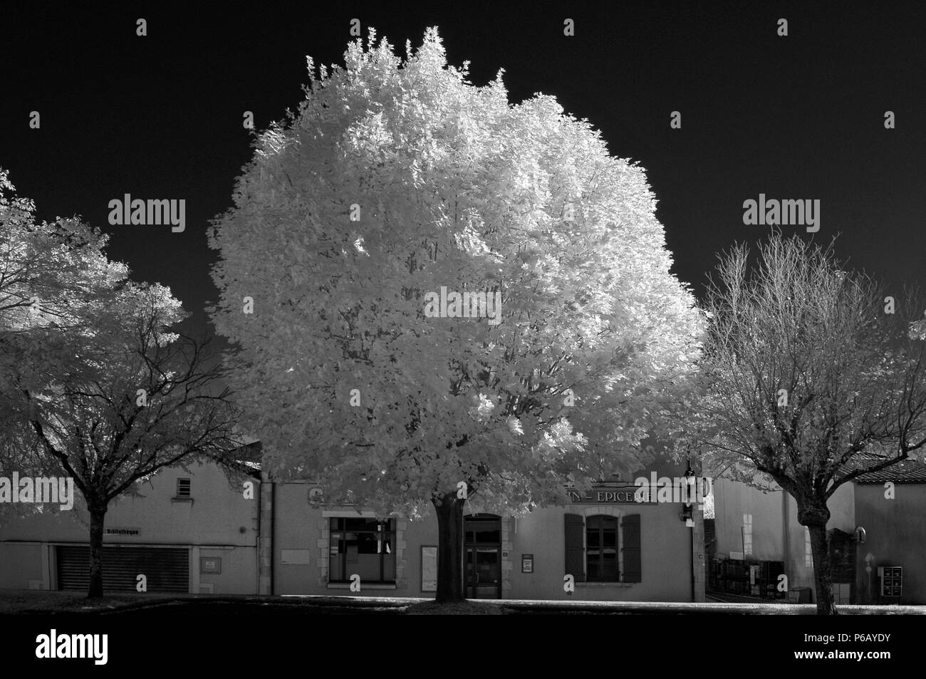 Europa Frankreich infrarot Bild der Vendee Landschaft Stockfoto