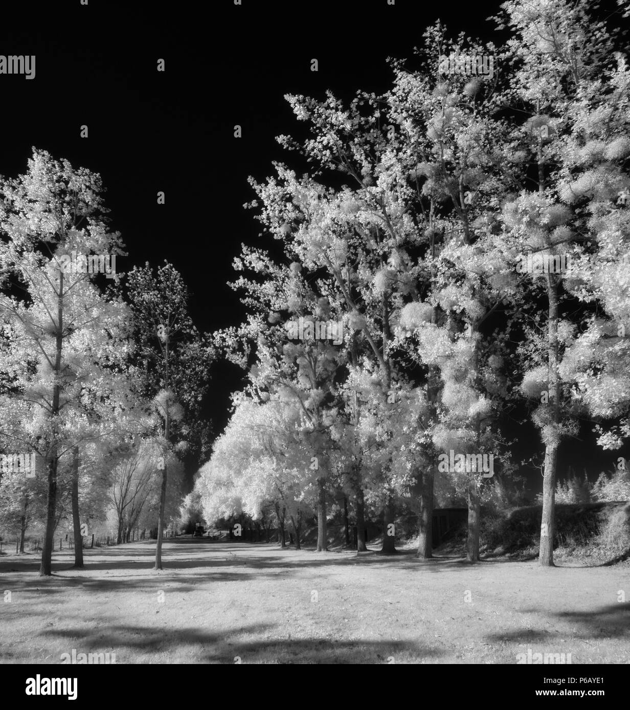 Europa Frankreich infrarot Bild der Vendee Landschaft Stockfoto