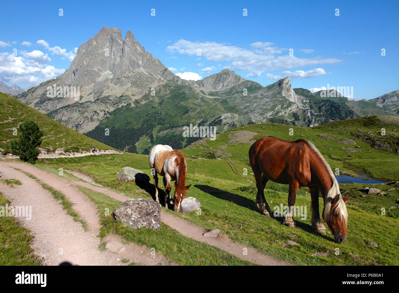 Frankreich, Languedoc-Roussillon, Pyrenees Atlantiques Nouvelle (64), Bearn, Ossau Tal (Gemeinde Eaux-bonnes), Pic du Midi d'Ossau (Nationalpark der Pyrenäen) und Ayous Seen Stockfoto