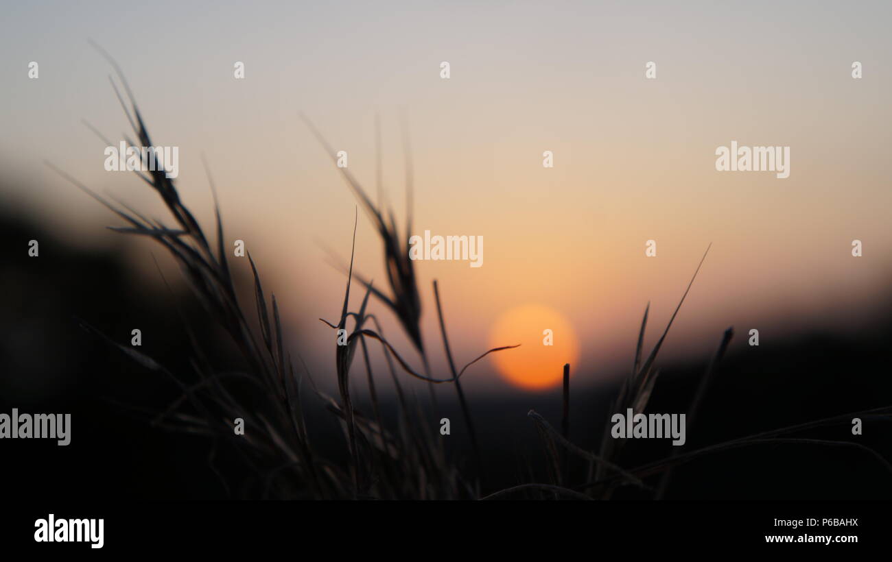 Sommerabende Stockfoto