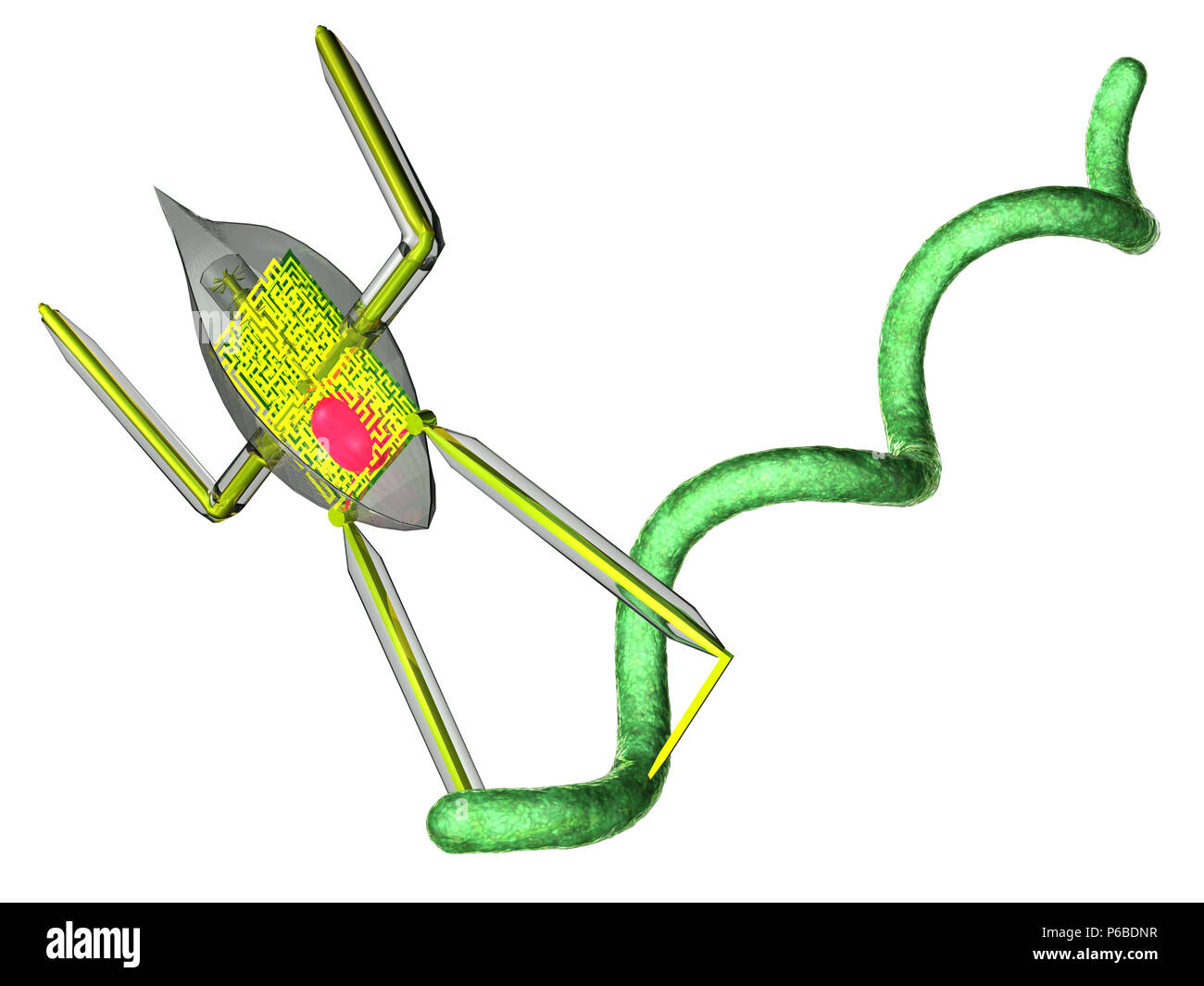 Nanobot und Bakterien isoliert Stockfoto