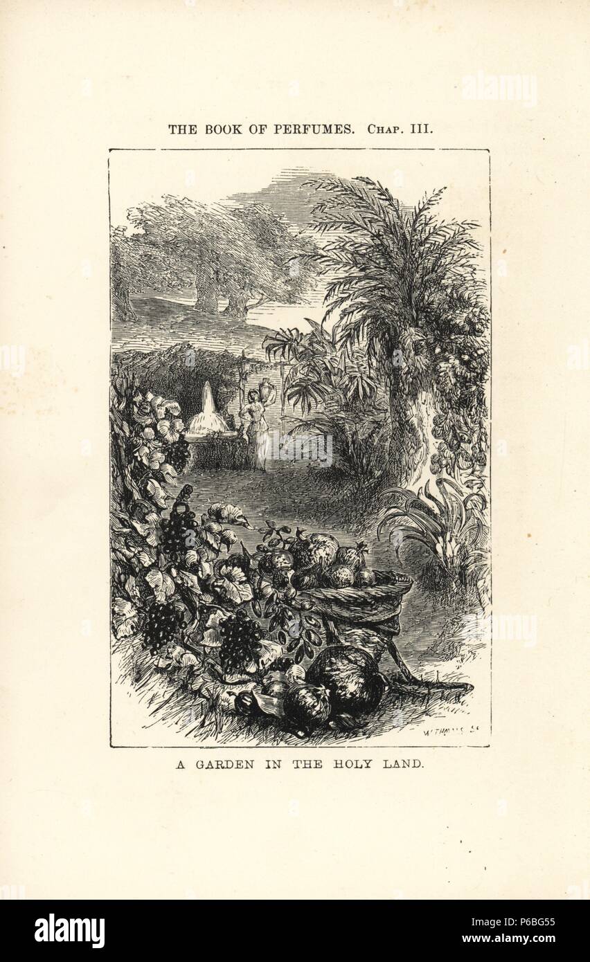 Ein Garten im Heiligen Land. Holzschnitt Kupferstich von W. Thomas von Eugene Rimmel des Buches der Parfums, London, Chapman und Hall, 1865. Stockfoto