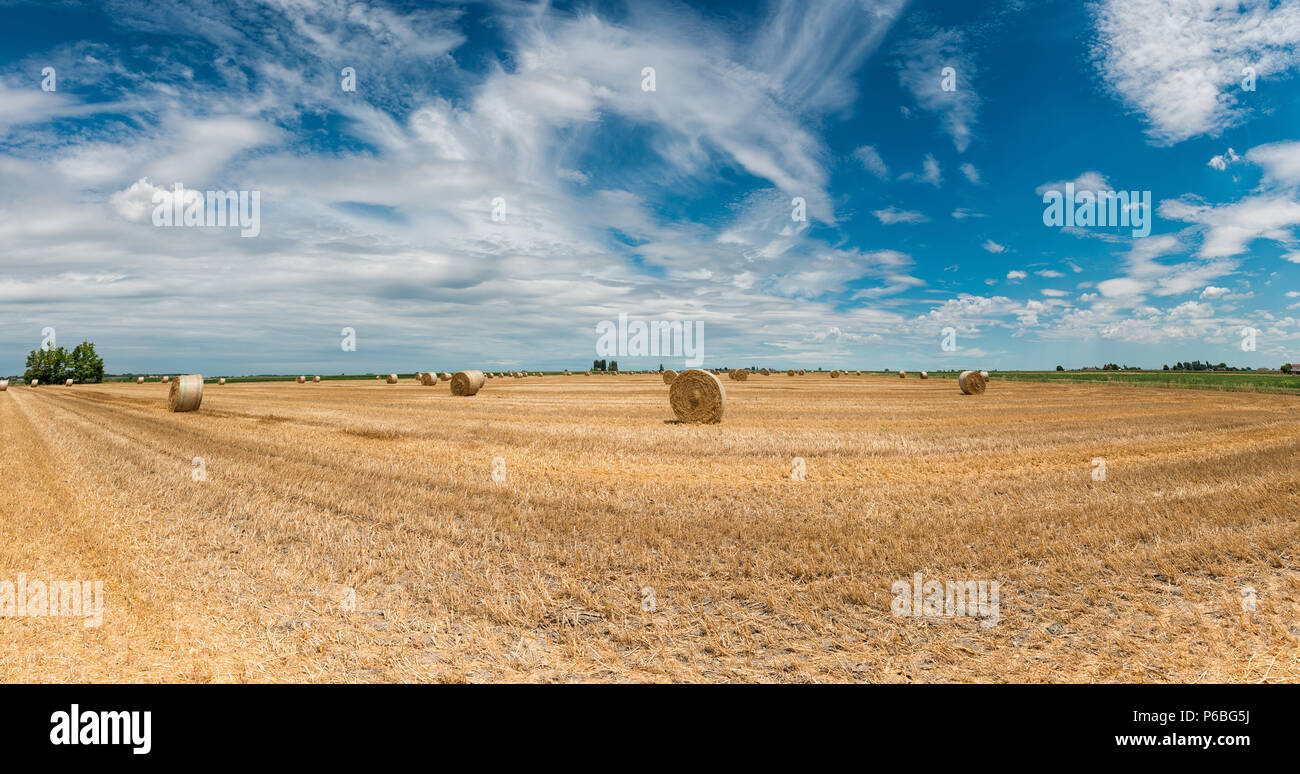 Abgeerntete Weizenfelder in der italienischen Sommer Stockfoto