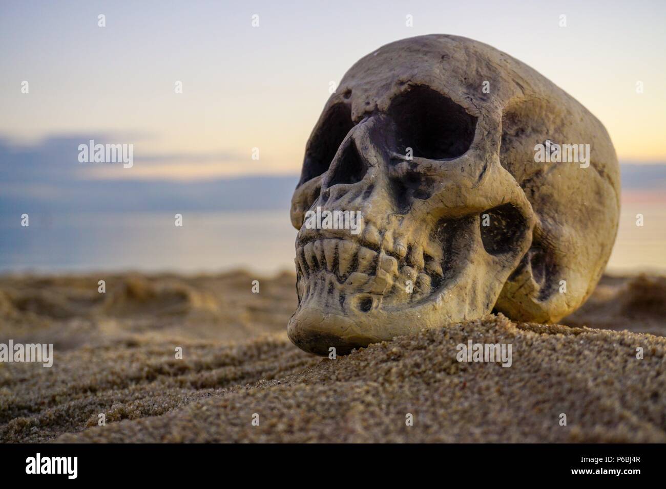 Menschliche skullson Sand am Strand Stockfoto