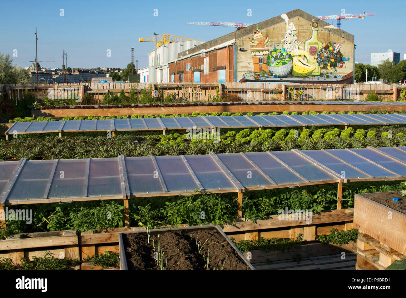 Frankreich, Nantes, Ile de Nantes, der Gemüsegarten der "Voyage à Nantes. Stockfoto