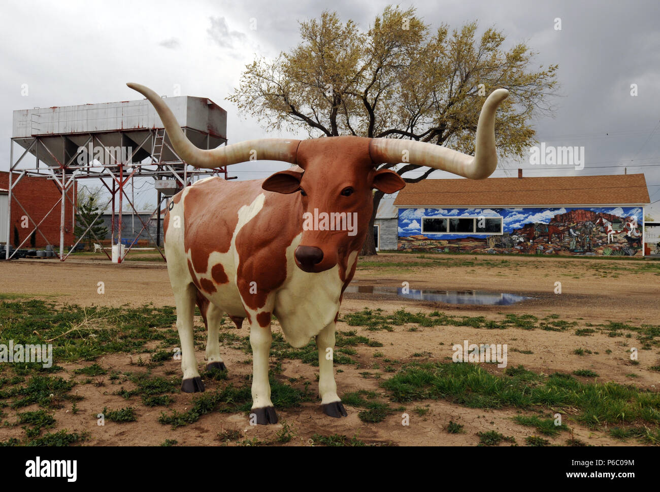 Texas ranching -Fotos und -Bildmaterial in hoher Auflösung – Alamy