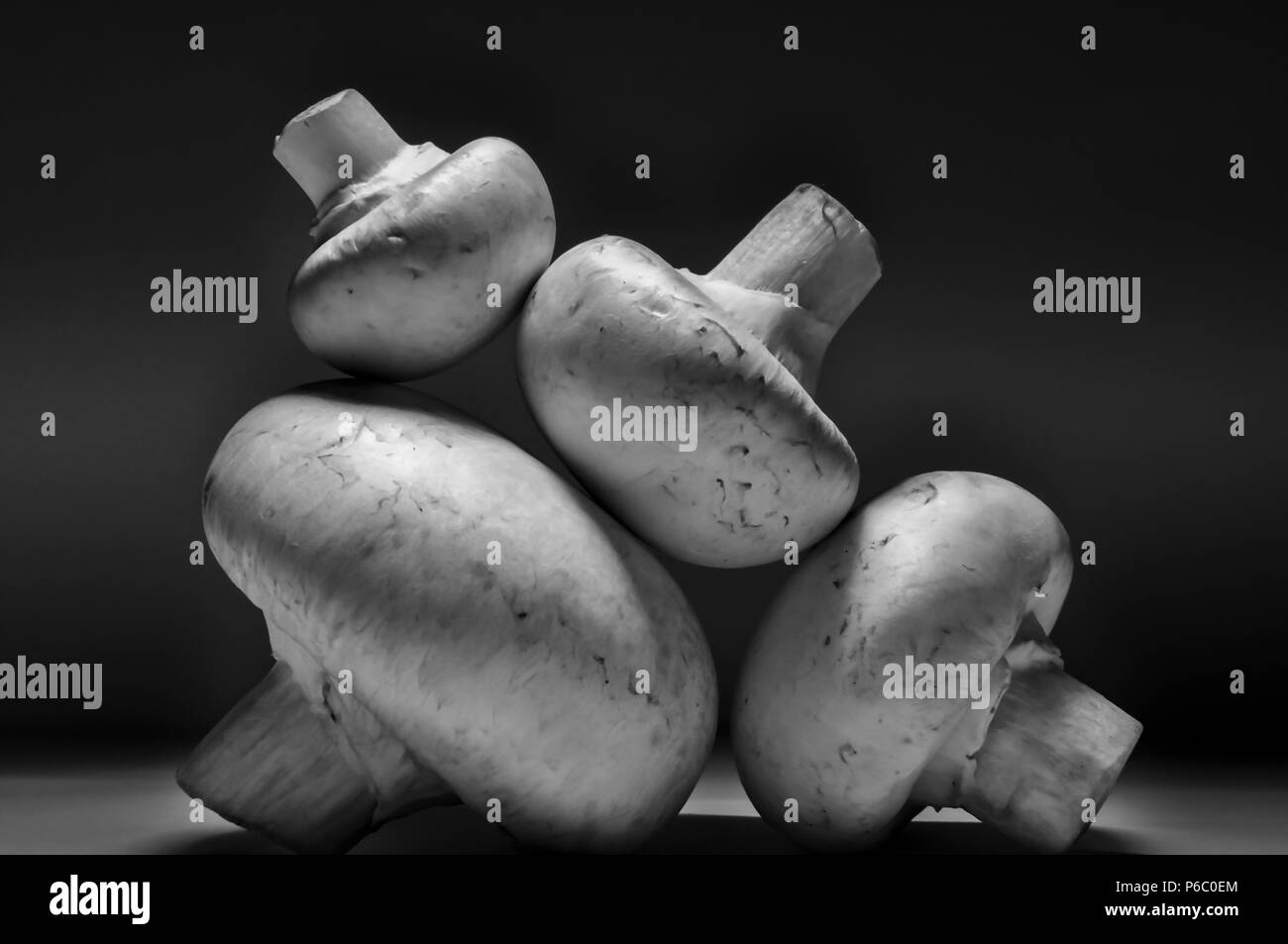 Pilze auf dunklem Hintergrund Stockfoto