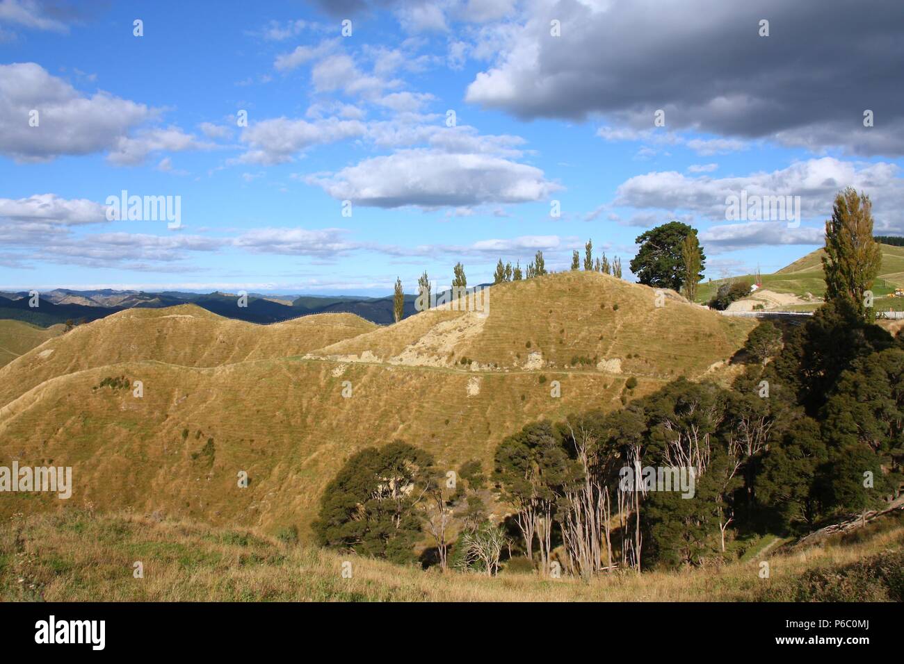Neuseeland - Hügel der Region Manawatu-Wanganui. Stockfoto