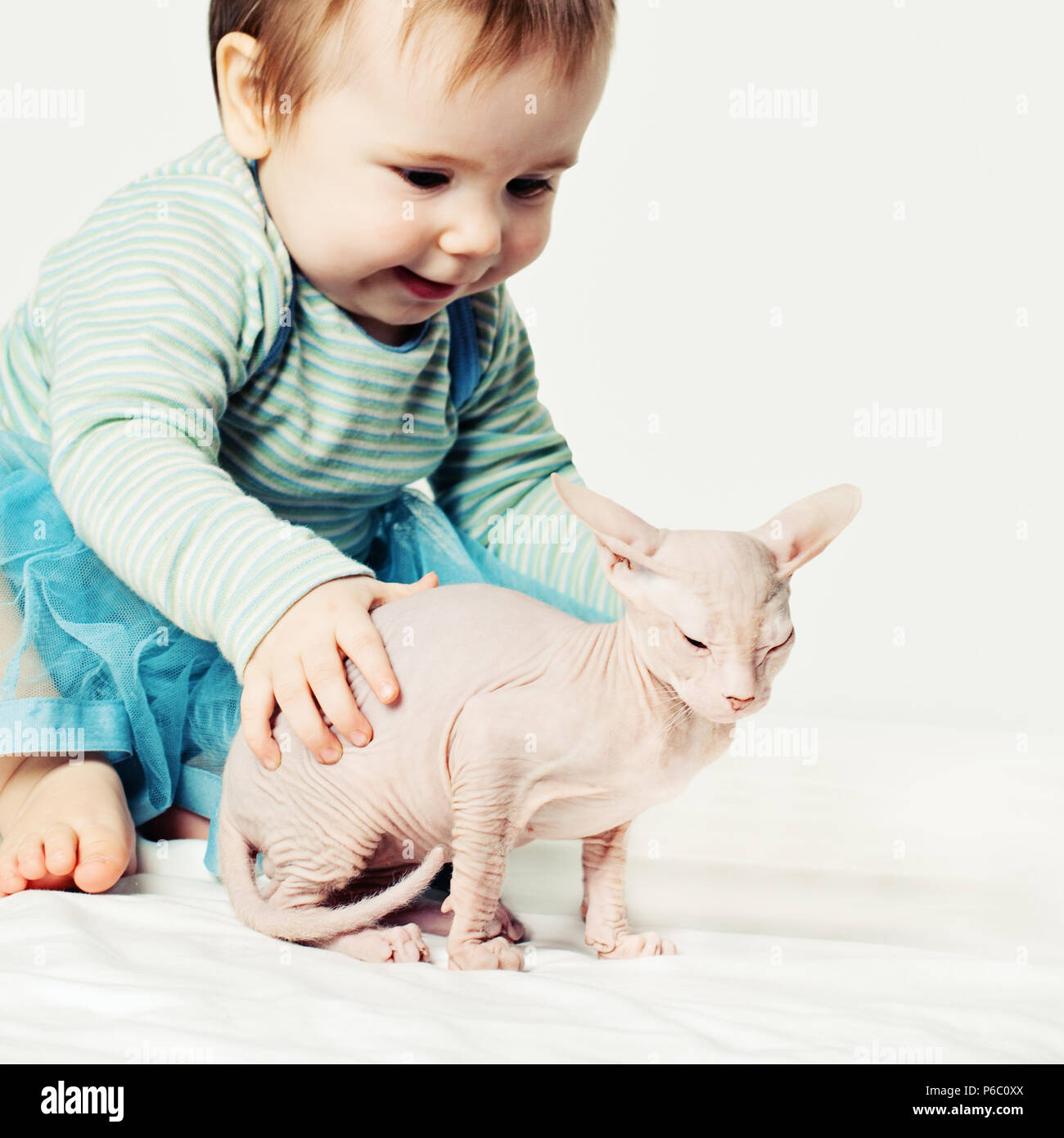 Kleines Mädchen und Kätzchen. Cute Baby mit haarlose Katze Stockfoto