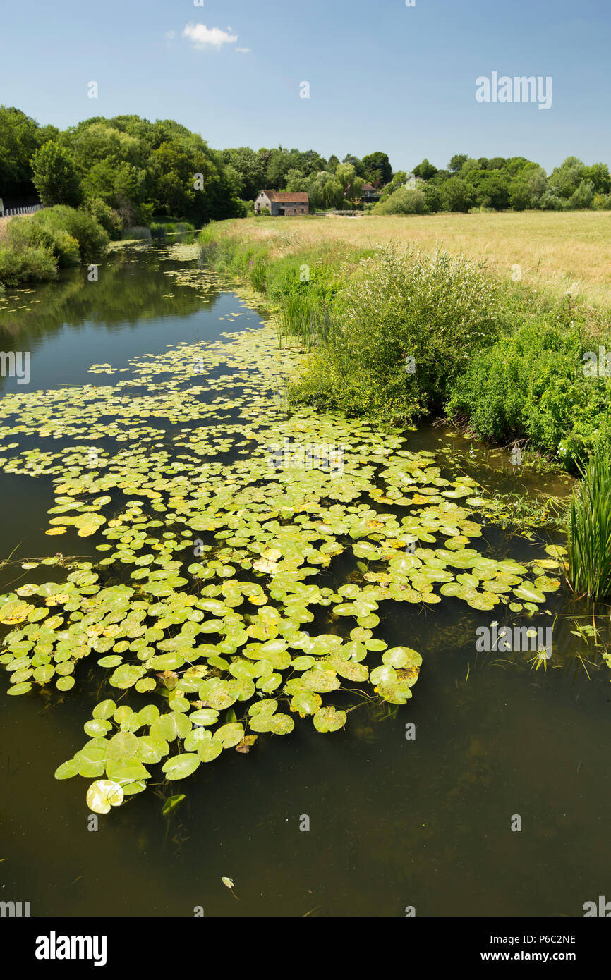 Ansicht vor der Dorset Stour River mit Blick in Richtung Sturminster Newton Mühle von Sturminster Newton Town Bridge. North Dorset England UK GB Stockfoto