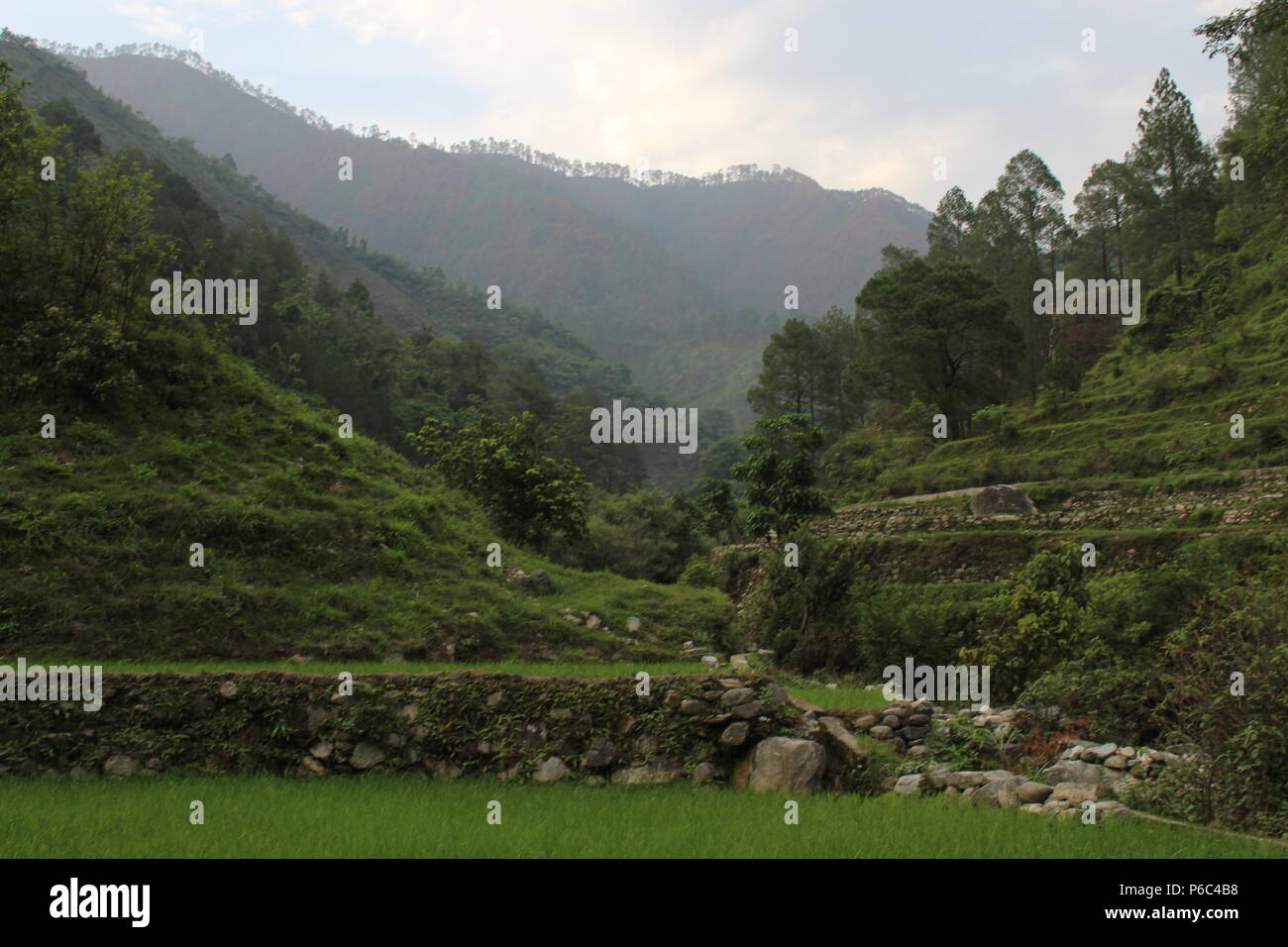 Schöner Blick auf das Tal Himalaja der Uttrakhand Indien Stockfoto