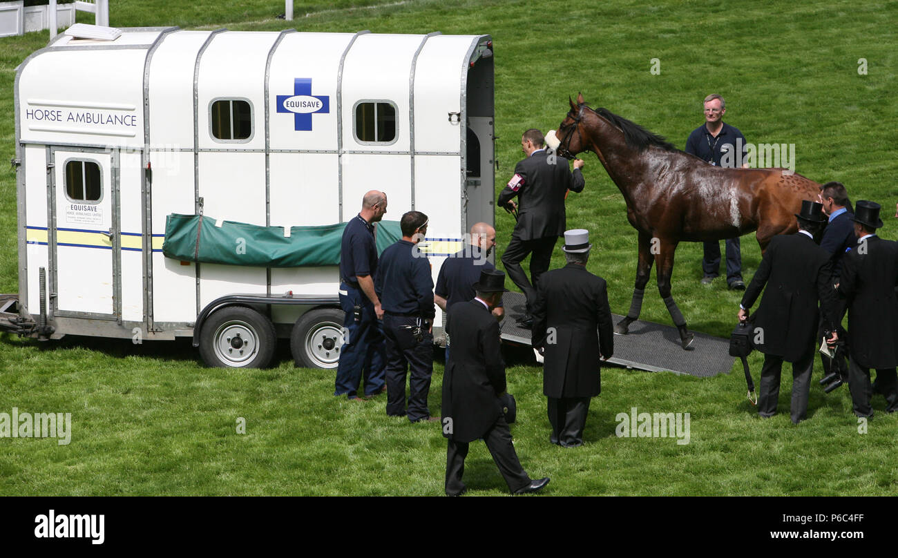 Ascot, Großbritannien, verletzte Pferd wird in einem verkehrsunternehmer des Pferdes Krankenwagen geladen Stockfoto