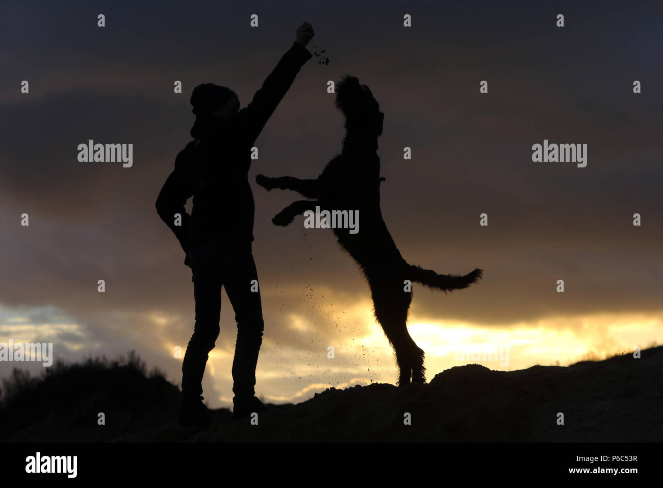 Wustrow, Deutschland - Silhouette, Junge spielt Ball mit seinem Hund auf einer Düne Am Abend Stockfoto