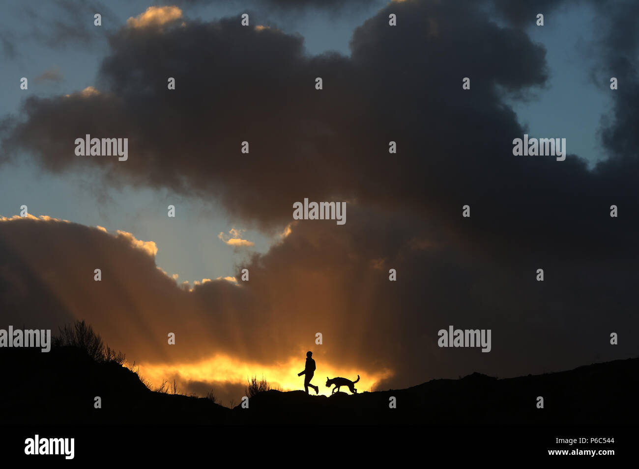 Wustrow, Deutschland - Silhouette, Junge läuft bei Sonnenuntergang mit seinen Hund über eine Düne Stockfoto