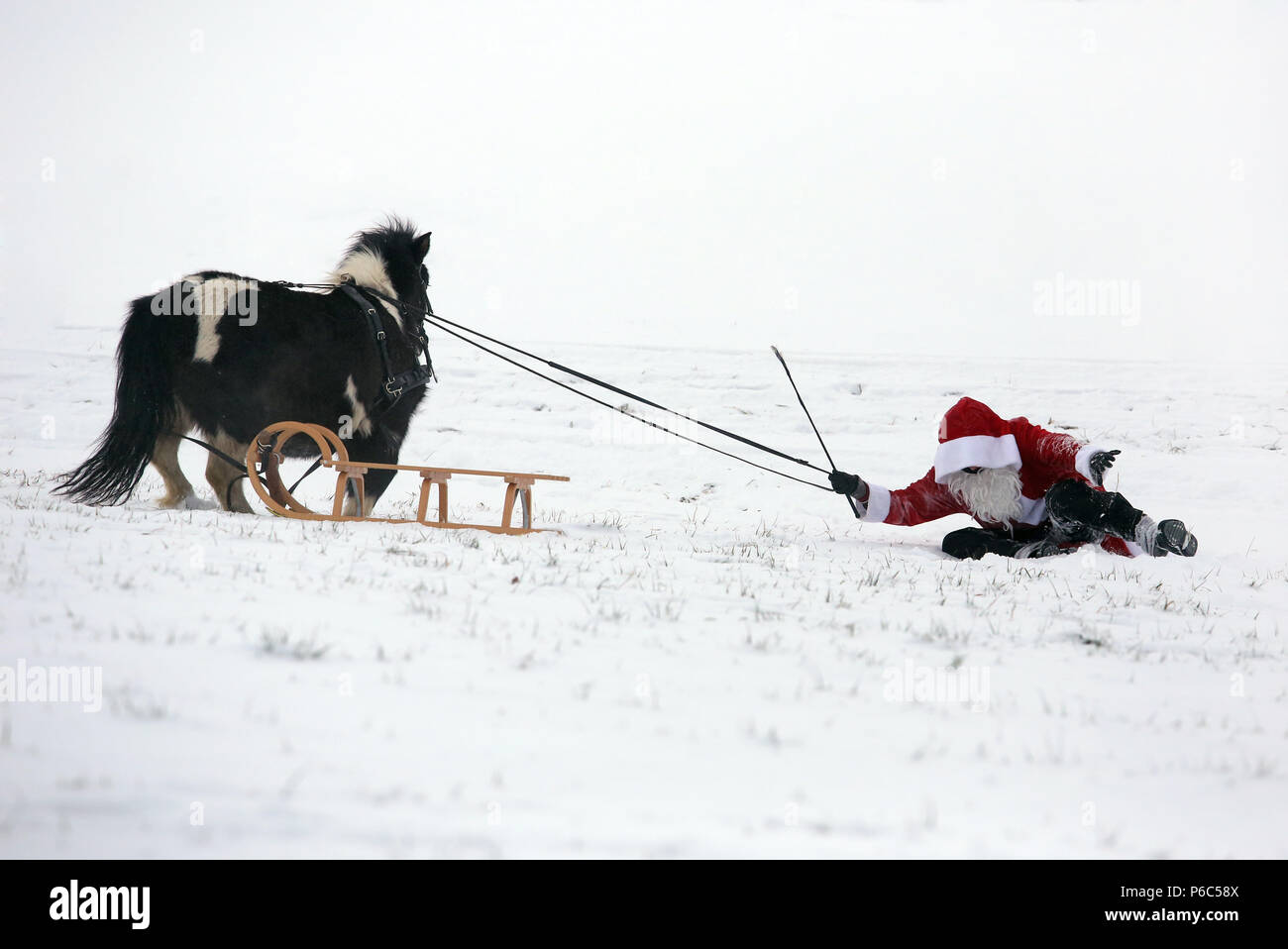 Oberoderwitz, verkleidet als Weihnachtsmann, fiel ihr Pony Schlitten Stockfoto