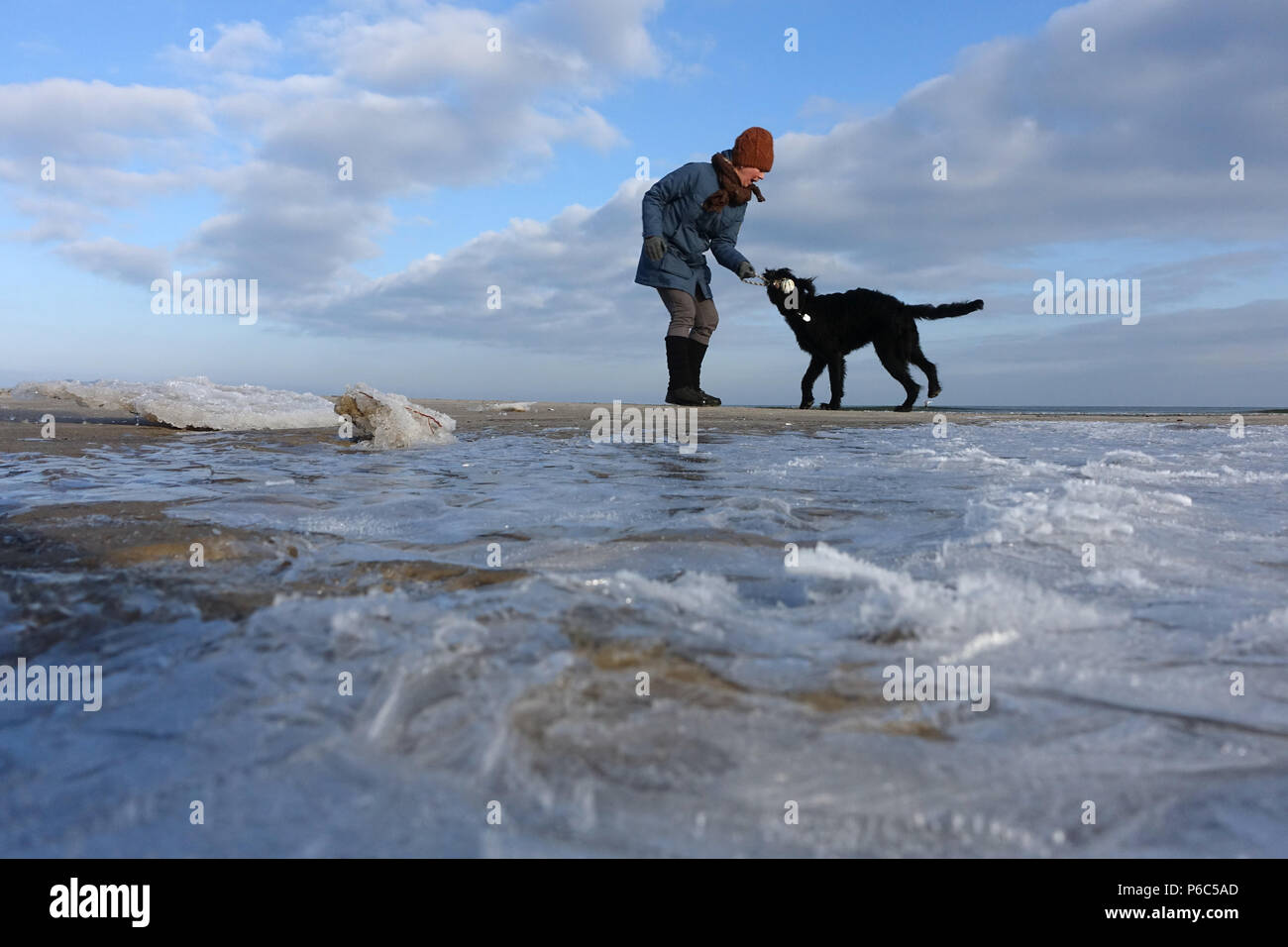 Ahlbeck, Deutschland, Frau spielen mit Ihrem Hund im Winter am Strand Stockfoto