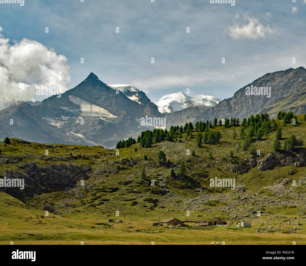 Swiss Alp Blick vom Glacier Express Stockfoto