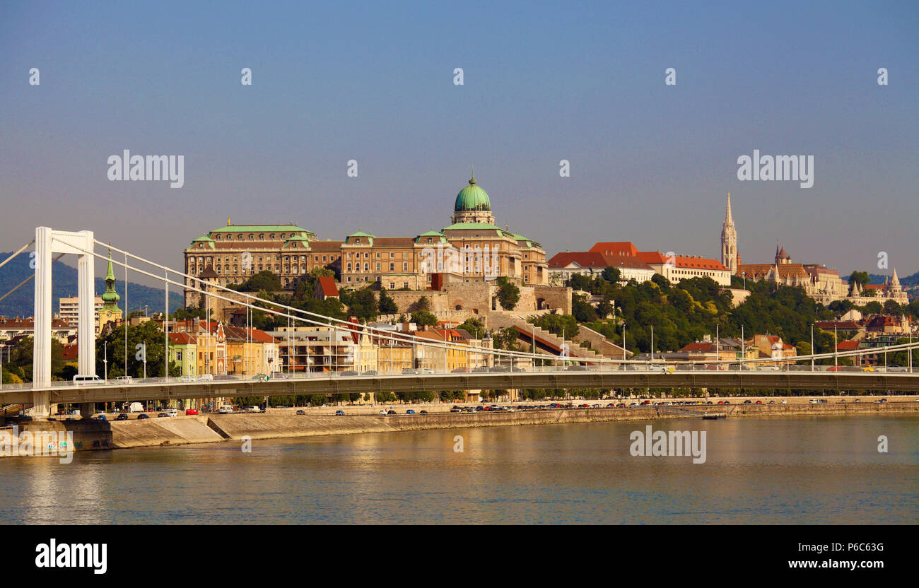 Ungarn, Budapest, Burgviertel, Skyline, Elisabeth Brücke, Donau, Stockfoto